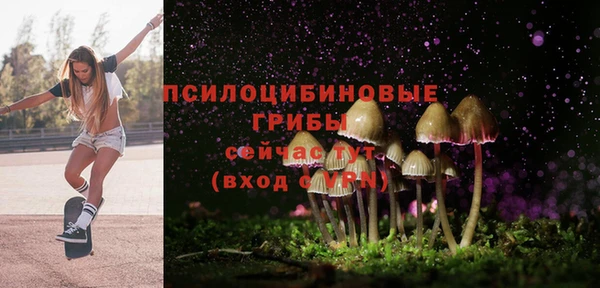 экстази Козловка