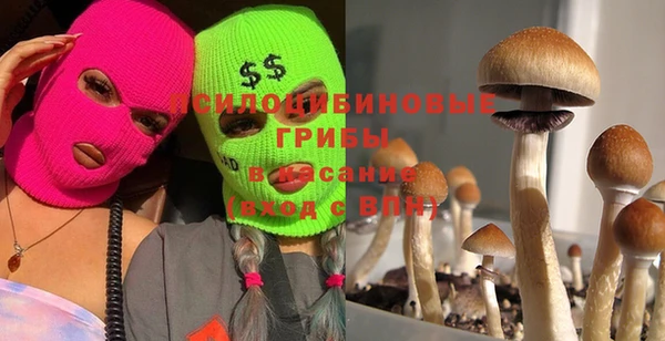 ПСИЛОЦИБИНОВЫЕ ГРИБЫ Кодинск