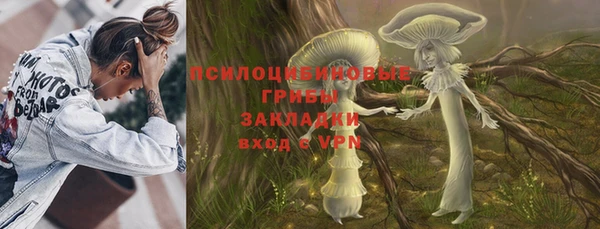 ПСИЛОЦИБИНОВЫЕ ГРИБЫ Кодинск