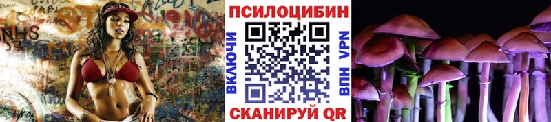 Купить где  Алзамай  Псилоцибиновые грибы Cubensis 