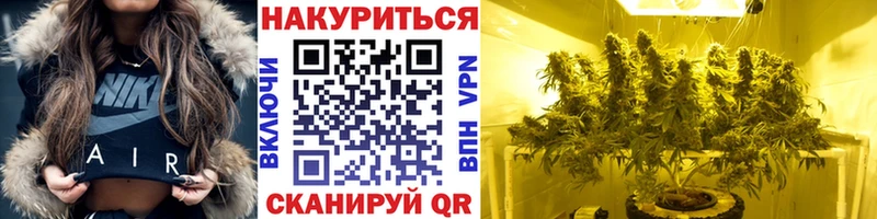 Купить где Алзамай Шишки марихуана THC 21%